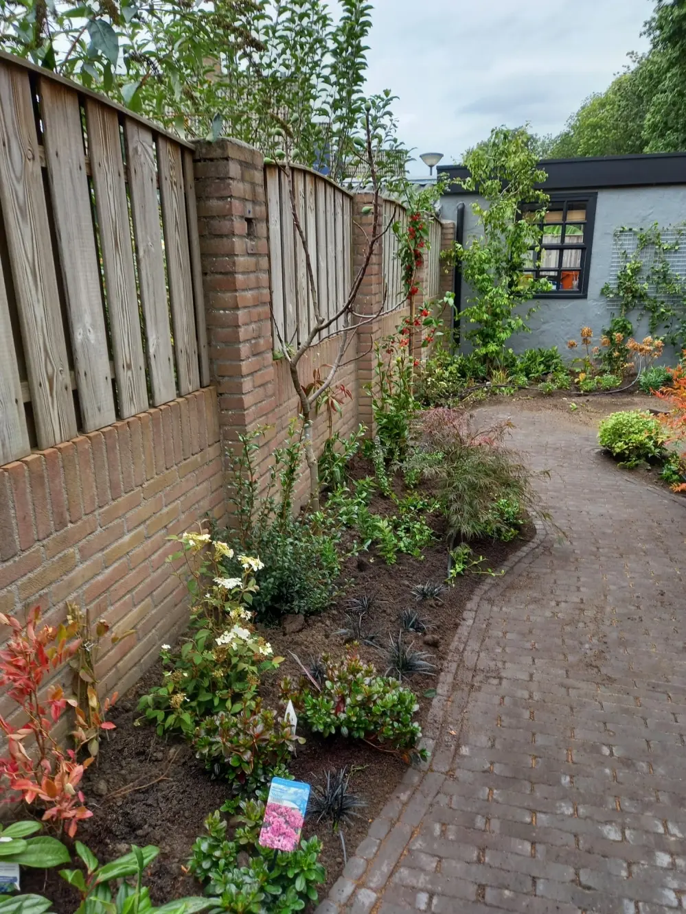 Timmermans Tuinverzorging energetische tuin buitenverblijf gebakken klinkers keramische tegels 001